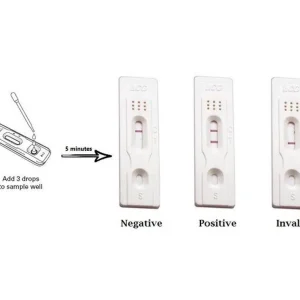 Urine Pregnancy Test (Upt) (30/Box)