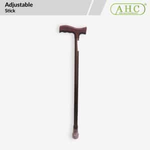Walking Stick (C9206L)