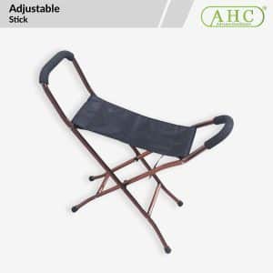 Chair Cane (W910)