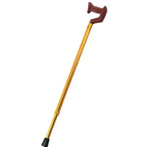 YU820 Walking stick