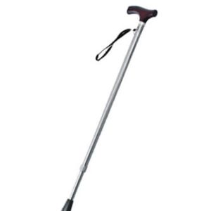 YU821 Walking stick